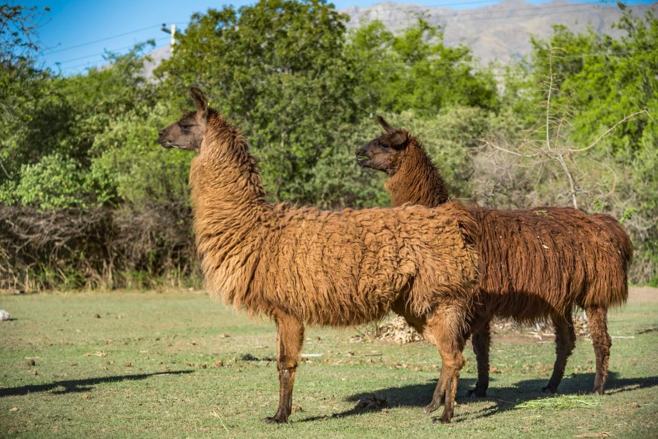Posada El Pucara San Javier  Eksteriør bilde